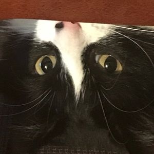 Meet your Posher, Kentrell